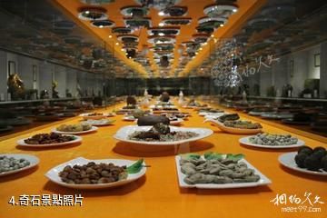 衡陽奇石文化博物館-奇石照片