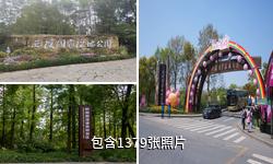 杭州西溪国家湿地公园驴友相册