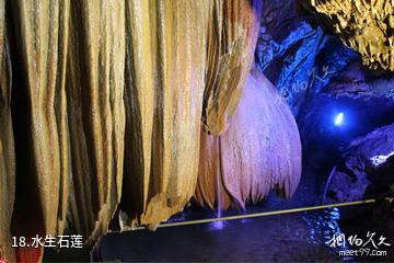 通山隐水洞地质公园-水生石莲照片