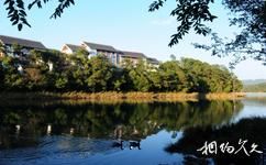 思茅梅子湖公園旅遊攻略之野鴨鳧水