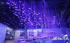 广东省博物馆旅游攻略之海洋生物展区