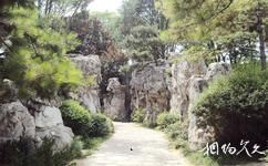 西安唐大慈恩寺遺址公園旅遊攻略之石徑