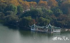 上海长风公园长风海洋世界旅游攻略之青枫岛
