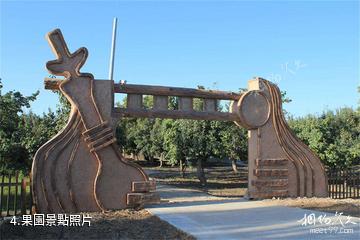 麥蓋提刀郎鄉里景區-果園照片