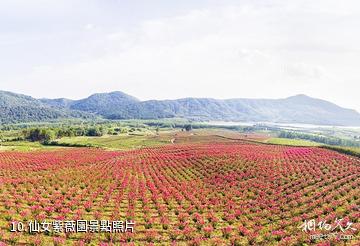 京山太子山王莽洞-仙女紫薇園照片