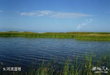 丽水瓯江漂流乐园-河流湿地照片