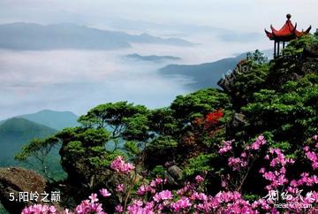 赣州阳岭国家森林公园-阳岭之巅照片