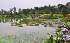 廣州海珠濕地公園旅遊攻略之花溪