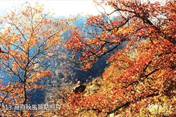 崇信龍泉寺-高原秋風照片