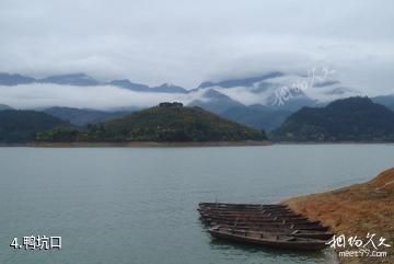 丽水瓯江漂流乐园-鸭坑口照片