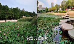 銀川龍池驢友相冊