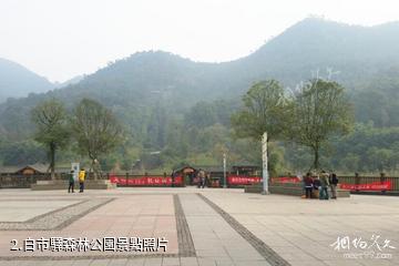重慶白市驛森林公園-白市驛森林公園照片