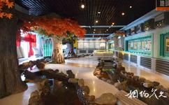 吉林靖宇火山矿泉群地质博物馆旅游攻略之展厅
