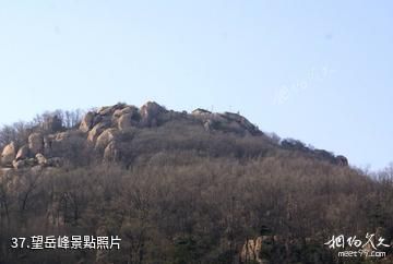 泰安徂徠山國家森林公園-望岳峰照片