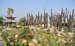 安徽五千年文博园旅游攻略之园林
