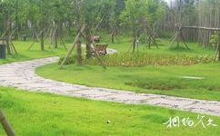 溫州白鹿洲公園旅遊攻略之林蔭廣場