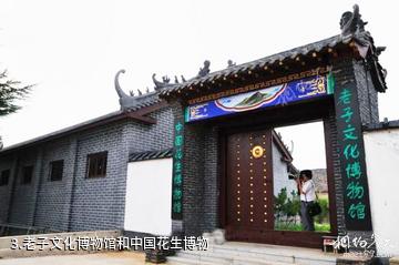 安丘老子文化园-老子文化博物馆和中国花生博物照片