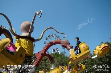 攀枝花鑫島遊樂城-章魚飛車照片
