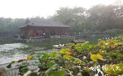北京恭王府旅遊攻略之湖心亭