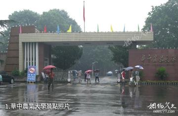 華中農業大學照片