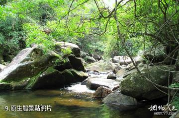 賀州十八水原生態園景區-原生態照片