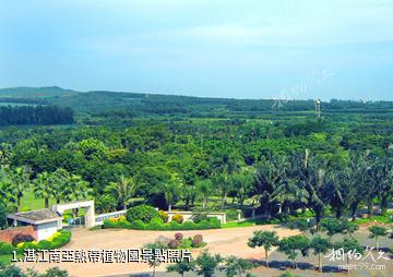 湛江南亞熱帶植物園照片