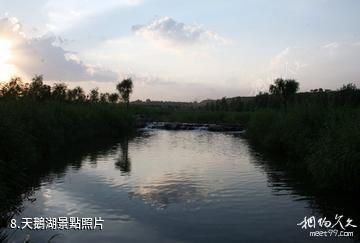 山西孝河國家濕地公園-天鵝湖照片