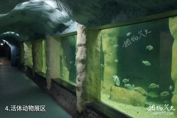 连云港连岛海底世界-活体动物展区照片