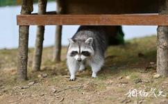 騰沖歸云莊旅游攻略之萌寵動物樂園