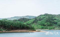 信阳新县武占岭生态旅游度假旅游攻略之森林