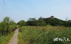 淄博马踏湖(暂停开放)旅游攻略之风景
