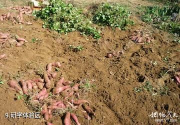 青州九龙峪景区-研学体验区照片