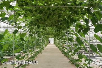 湘潭盤龍大觀園-蔬菜博覽園照片