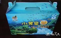 江蘇永豐林農業生態園旅遊攻略之小黃魚