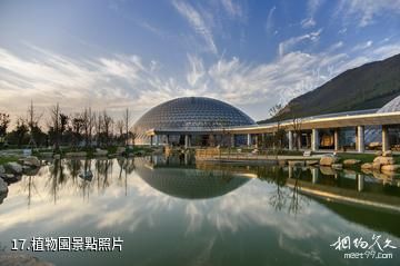 江蘇大陽山國家森林公園-植物園照片