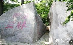 平度大澤山旅遊攻略之摩崖石刻