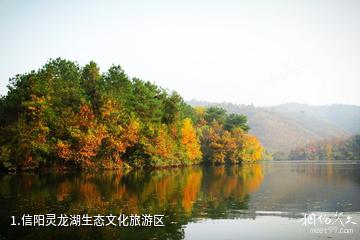 信阳灵龙湖生态文化旅游区照片