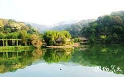 夏津黃河故道森林公園旅游攻略之植物園