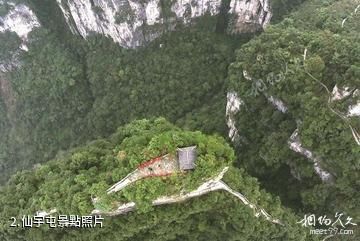 大方油杉河風景區-仙宇屯照片