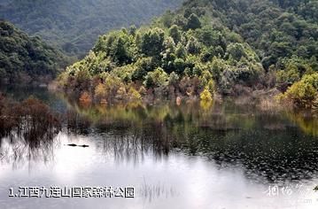 江西九连山国家森林公园照片