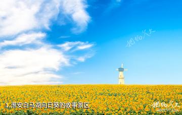 淮安白马湖向日葵的故事景区照片