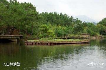 曲靖花山湖-山林滴翠照片