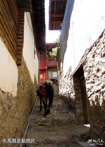麗江寶山石頭城-馬幫照片