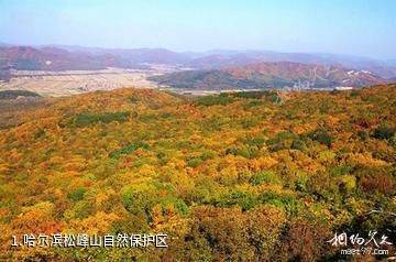 哈尔滨松峰山自然保护区照片