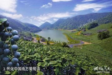 怀化中国南方葡萄沟照片