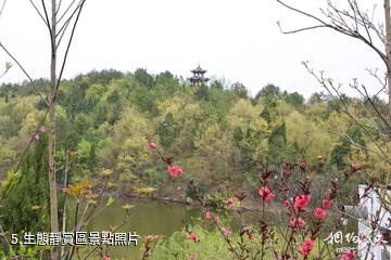 廣元川北民俗文化園-生態靜賞區照片