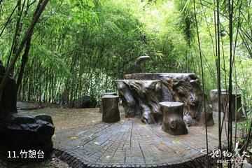 安康双龙生态旅游度假区-竹憩台照片