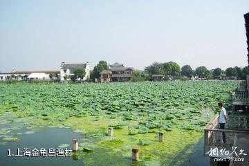 上海金龟岛渔村照片
