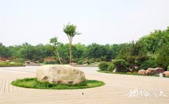 洛陽市隋唐城遺址植物園旅遊攻略之岩石園