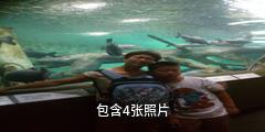 上海海洋水族馆驴友相册